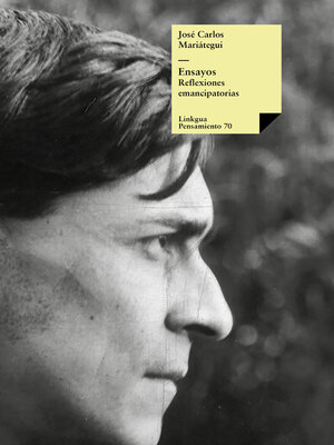 cover image of Ensayos